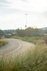 Quiet country road background image