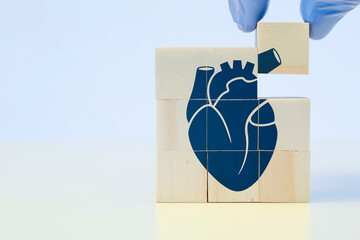 Donor, heart disease. Cardiology and medical care for heart problems. Chf cardiomyopathy, myocarditis, arrhythmia. The hand sorts the wooden cubes with anatomy icons - obrazy, fototapety, plakaty