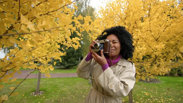 Close-up view of young, brunette woman snapping beautiful nature around. Charming girl with ethnic hairstyle taking pictures of yellow foliage. High quality 4k footage