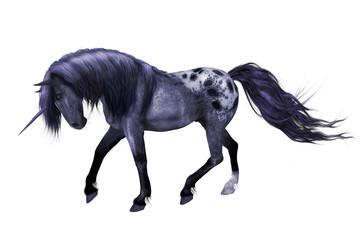 Obraz na płótnie Canvas A 3d digital render of an Appaloosa unicorn with a transparent background. 