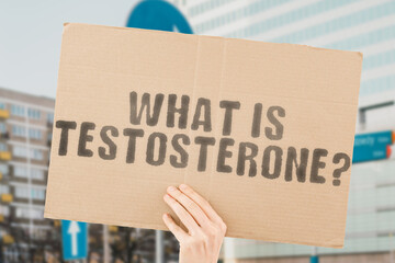 The question " What is testosterone? " is on a banner in men's hands with blurred background. Stress. Bio. Bodybuilding. Metabolism. Deficiency. Diagnosis. Molecular. Mass. Research. Sex. Strength