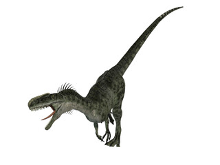 3d digital render of a dinosaur, a type of raptor, with transparent background. 