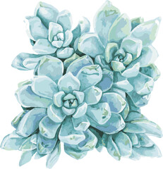 blue hydrangea flower