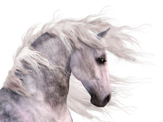Fototapeta na wymiar 3d digital render of a dappled gray horse portrait.