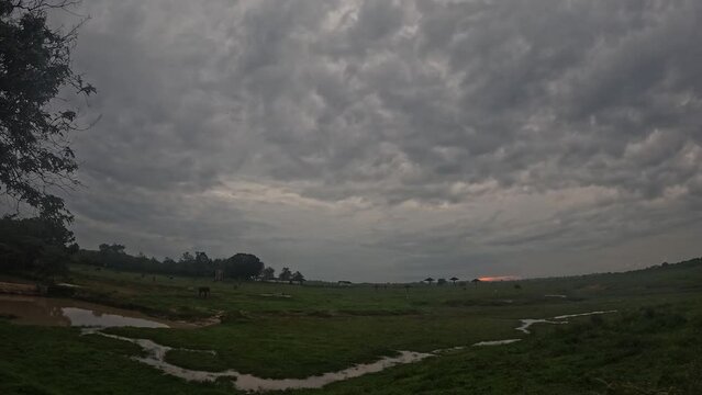 timelapse video, beautiful view of fast moving clouds, grasslands and elephants in Indonesia's Way Kambas Forest National Park, and sunrise from the east.