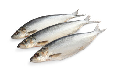 Whole delicious salted herrings isolated on white