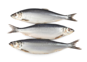 Delicious whole salted herrings isolated on white, top view