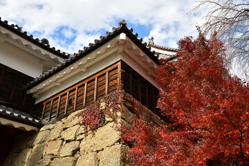 信州上田城の紅葉