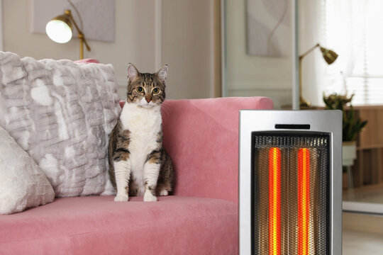Cute cat on sofa near modern electric ultrared heater indoors
