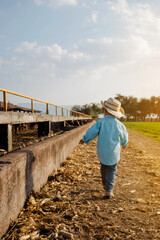 Little kid walking in the road of a farm watching at the cows in the sunset. Day of summer in the ranch