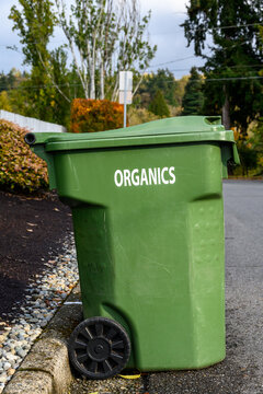 Garbage day, large plastic green yard waste bin sitting out at the curb, recycling of organics and yard waste

