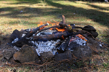 outdoor fireplace in woods by day