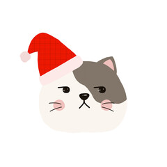 cat with christmas hat
