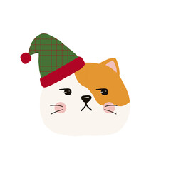 Cat in Christmas