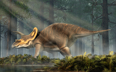 A triceratops, one of the most popular dinosaurs of the Cretaceous period, stands in profile if a dense forest. 3D Rendering © Daniel Eskridge