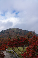 Fototapeta premium 奈良県の大台ケ原・東大台の日出ヶ岳