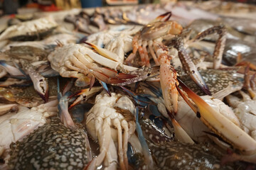 Pontianak, Indonesia - 02 December 2022: Picture of blue crab in the Flamboyan Traditional Market, one of traditional market in Pontianak.