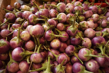Pontianak, Indonesia - 02 December 2022: Picture of purple small rounded shape eggplant in the Flamboyan Traditional Market, one of traditional market in Pontianak.