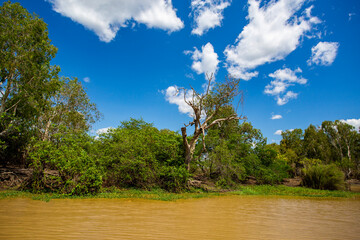 Kakadu Banks of the South Alligator River