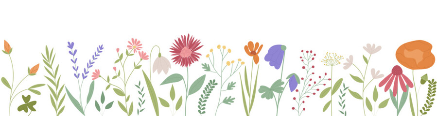 Hand drawn horizontal floral banner. Botanical vector print. Cute colorful field and garden flowers and leaves. Beautiful floral border on a white background.