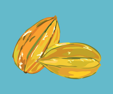 star fruit vector illustration
