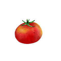 watercolor tomato