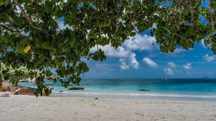 Yachts are visible on the calm turquoise ocean, an island on the horizon. Picturesque boulders are scattered near the shore. Blue sky, clouds. The green branches bent over the sandy beach. Seychelles.
