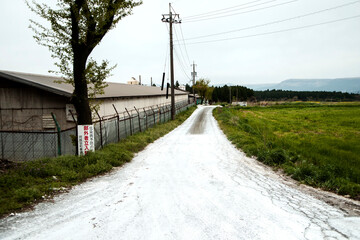 道路消毒