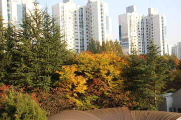 Fototapeta premium the fall of an apartment