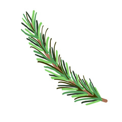 Pine leaf watercolor transparent png