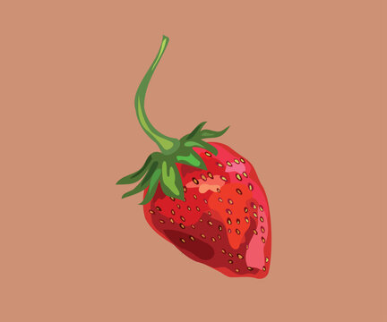  strawberry fruit illustration