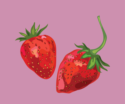  strawberry fruit vector illustration