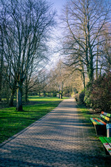 path in the park