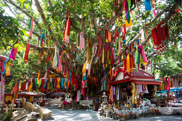Ancient small shrine for thai people travelers travel visit respect praying deity angel and tie color fabric offerings to holy tree for blessing mystical on November 3, 2022 in Suphan Buri, Thailand