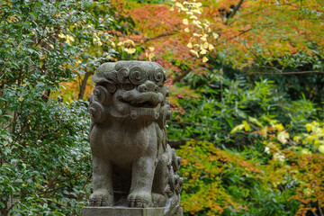 赤坂氷川神社の狛犬と紅葉