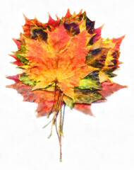 Bouquet of fall maple leaves digital watercolors