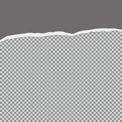 Tore off half a sheet of gray paper from the top. Vector paper design template.