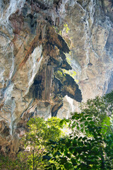 まるでジュラシックパークの様な世界チャロム ラッタナコシン国立公園　タイ・カンチャナブリー