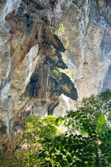 まるでジュラシックパークの様な世界チャロム ラッタナコシン国立公園　タイ・カンチャナブリー