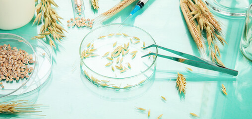 Analyzing agricultural wheat grains in laboratory