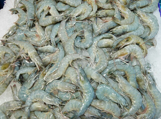Fresh shrimps