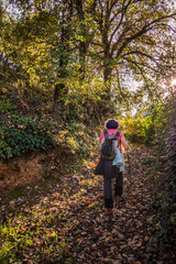 Rear View Of Senior Woman Walking In Forest Carrying Backpack And Hiking Poles. Outdoor Activities. 