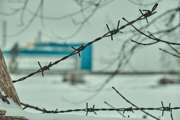 Old barbed wire on a concrete fence large with snow in winter close-up Selective focus