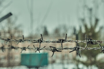 Old barbed wire on a concrete fence large with snow in winter close-up Selective focus