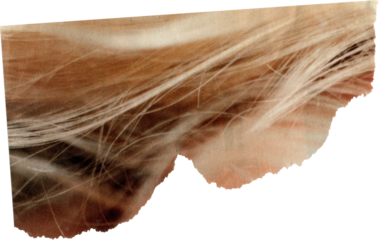 Light textured scrap of magazine paper	