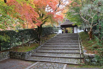 A Japanese temple in Kyoto : a scene of the entrance gate to the precincts of Honen-in Temple 京都の日本のお寺：法然院境内入り口にある茅葺き門の一風景