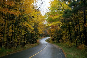 Fototapeta premium Beautiful landscape of a road through the autumn trees in Muskoka, Canada.