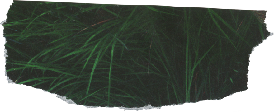 green textured scrap of journal paper	
