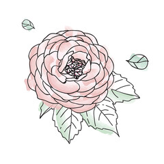 ornament border flower and leaf watercolor