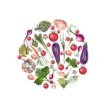Set of watercolor vegetables. Hand drawn watercolor illustration. Isolated on white background. Template for your design.